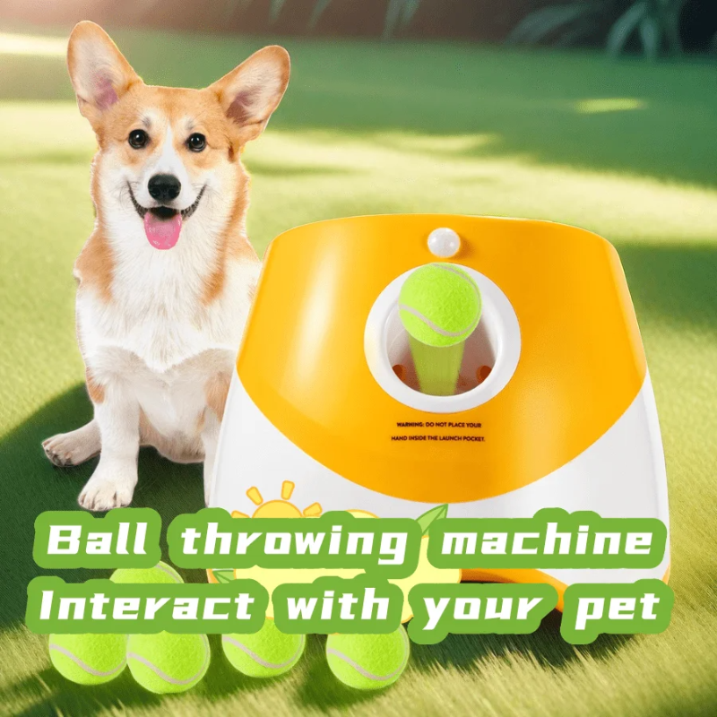 Dog Launcher Automatic Dogs Ch - Pinball Machine recensione e prezzo
