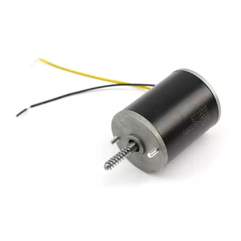 24V DC Gear Motor Spare Parts  - Crane Claw Motor recensione e prezzo