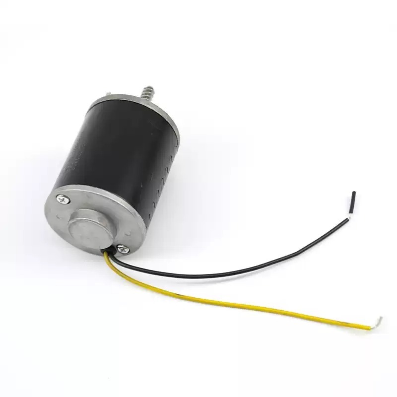 24V DC Gear Motor Spare Parts  - Crane Claw Motor recensione e prezzo